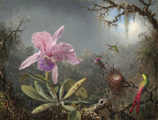 Martin Johnson Heade - Cattleya Orchid and Three Hummingbirds.webp