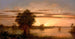 Zonsopgang in Florida - Martin Johnson Heade — weergave van het kunstwerk
