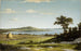 Rivage de Rhode Island - Martin Johnson Heade — weergave van het kunstwerk