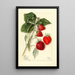 Fragaria Dunlap - Mary Daisy Arnold — ingelijst kunstwerk aan de muur