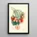 Fragaria Manhattan - Mary Daisy Arnold — ingelijst kunstwerk aan de muur
