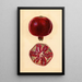 Punica granatum Grenade - Mary Daisy Arnold — ingelijst kunstwerk aan de muur