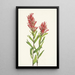 Castilléjie de l'Alberta Castilleja miniata - Mary Vaux Walcott — ingelijst kunstwerk aan de muur