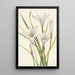 Lis d'Atamasco Atamosco atamasco - Mary Vaux Walcott — framed artwork on a wall