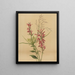 Fleur cardinale Lobelia cardinalis - Mary Vaux Walcott — ingelijst kunstwerk aan de muur