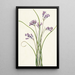 Clusterlily Hookera pauciflora - Mary Vaux Walcott — framed artwork on a wall