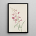 Epilobe en épi Epilobium angustifolium - Mary Vaux Walcott — ingelijst kunstwerk aan de muur