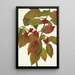 Fruit de cornouiller Cornus florida - Mary Vaux Walcott — ingelijst kunstwerk aan de muur