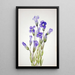 Gentiane frangée Gentiana elegana - Mary Vaux Walcott — ingelijst kunstwerk aan de muur