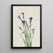 Gentiane Gentiana holopetala - Mary Vaux Walcott | Painting — framed artwork on a wall