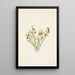 Bosbesfruit - Vaccinium scoparium - Mary Vaux Walcott — ingelijst kunstwerk aan de muur