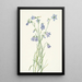 Campanula à feuilles rondes Campanula rotundifolia - Mary Vaux Walcott — ingelijst kunstwerk aan de muur