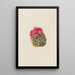 Cactus hérisson Coryphantha arizonica - Mary Vaux Walcott — ingelijst kunstwerk aan de muur