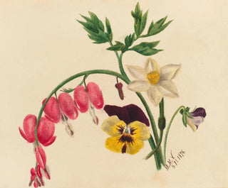 Mary Vaux Walcott - Mixed Flowers.webp