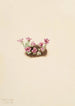 Saxifrage pourpre Saxifraga oppositifolia - Mary Vaux Walcott — artwork view