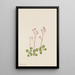 Saxifrage à tige rouge - Mary Vaux Walcott — ingelijst kunstwerk aan de muur