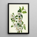 Saule des rochers Salix vestita - Mary Vaux Walcott — ingelijst kunstwerk aan de muur