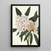 Rhododendron Rosebay Rhododendron maximum - Mary Vaux Walcott — ingelijst kunstwerk aan de muur