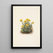 Potentille en rosette Potentilia uniflora - Mary Vaux Walcott — ingelijst kunstwerk aan de muur