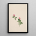Rubus articus - Mary Vaux Walcott — ingelijst kunstwerk aan de muur