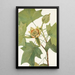Tulipier de Virginie Liriodendron tulipifera - Mary Vaux Walcott — ingelijst kunstwerk aan de muur