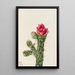 Cholla bâton de marche - Mary Vaux Walcott — ingelijst kunstwerk aan de muur
