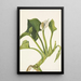 Calla sauvage Calla palustris - Mary Vaux Walcott — ingelijst kunstwerk aan de muur