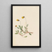 Dryade jaune Dryas drummondii - Mary Vaux Walcott — ingelijst kunstwerk aan de muur