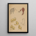 Choju ryakugashiki Pl13 - Masayoshi Kitao — framed artwork on a wall