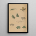 Choju ryakugashiki Pl36 - Masayoshi Kitao — framed artwork on a wall
