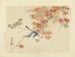 van de Eekhoornvogel met kastanjebruine wang - Matsumura Keibun — weergave van het kunstwerk