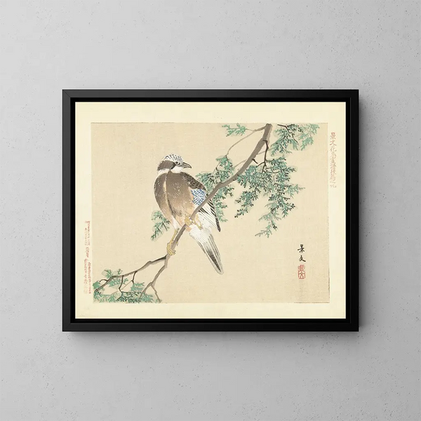 Eurasian Jay - Matsumura Keibun — framed artwork on a wall