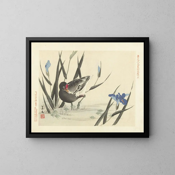 Iris japonais et foulque commune - Matsumura Keibun — framed artwork on a wall