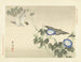 Liseron du Japon et sizerin flammé - Matsumura Keibun — weergave van het kunstwerk