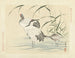 van een Rode Kroonkraanvogel - Matsumura Keibun — weergave van het kunstwerk