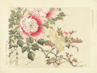 Matsumura Keibun - Tree peony and canary.webp
