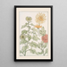 Chrysanthème - Maurice Pillard Verneuil — ingelijst kunstwerk aan de muur