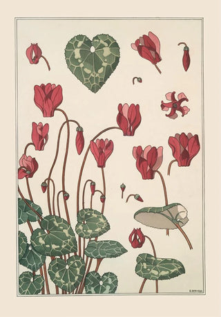 Maurice Pillard Verneuil - Cyclamen.webp