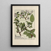 Pommier - Maurice Pillard Verneuil — framed artwork on a wall