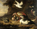 Eenden - Melchior d'Hondecoeter — weergave van het kunstwerk