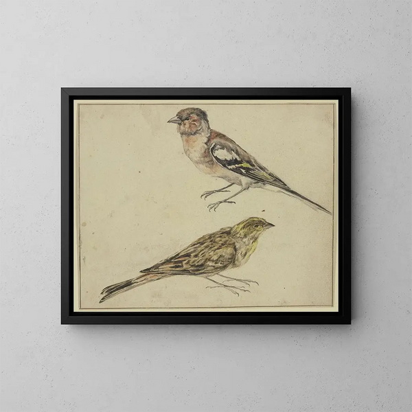 a goldfinch and a chaffinch - Melchior d'Hondecoeter — framed artwork on a wall
