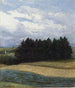 À Stephanskirchen - Michael Licklederer — artwork view