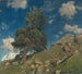 Monte Rosa and larches - Eugen Bracht — artwork view