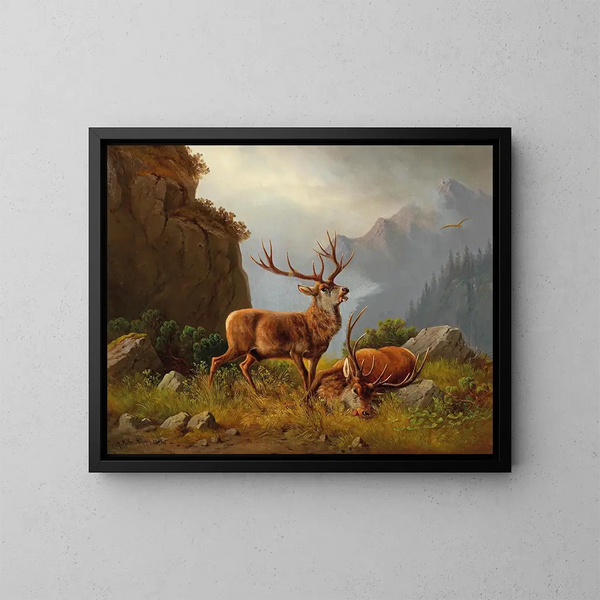 After the fight - Moritz Müller — framed artwork on a wall