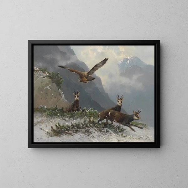 Chamois in the High Mountains - Moritz Müller — framed artwork on a wall