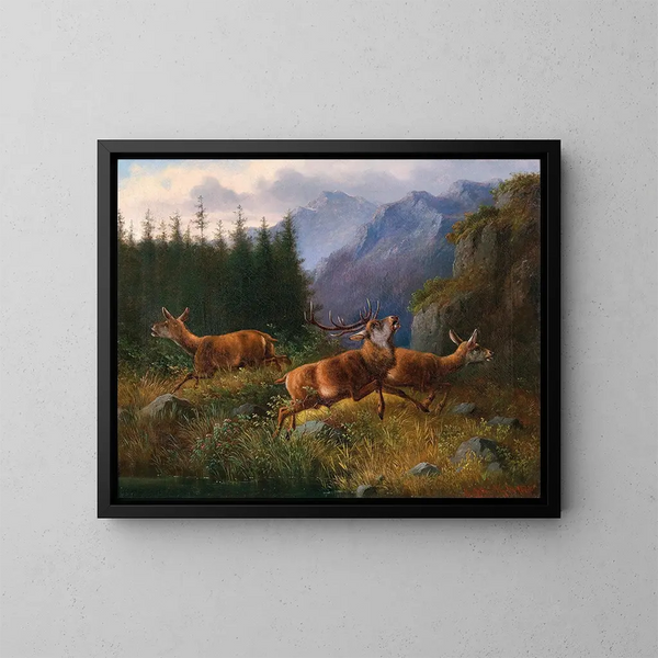 Deer in the mountains - Moritz Müller — framed artwork on a wall
