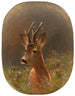 A Deer - Moritz Müller II — artwork view