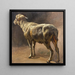 Sheep - Christian Mali — framed artwork on a wall