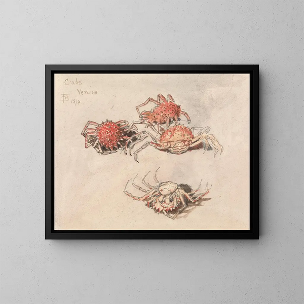 Studies of Spider Crabs in Venice - Myles Birket Foster — framed artwork on a wall