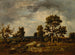 Weg langs de vijver van de adder, Fontainebleau-bos - Narcisse Virgile Diaz de la Peña — weergave van het kunstwerk